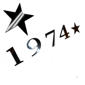 TAILGATE Raised Letters Inserts for 2025 Tundra 1794 Model