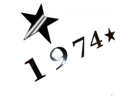 TAILGATE Raised Letters Inserts for 2025 Tundra 1794 Model