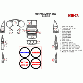 Nissan Altima 2002 - 2002 Dash Trim Kit